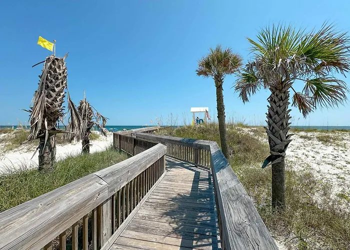 Seashore Dunes